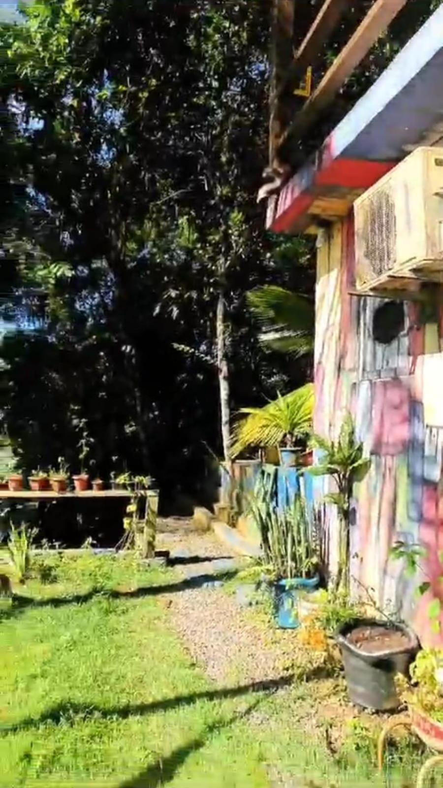 A Figueira Sagrada - Hostel Morro de São Paulo Extérieur photo